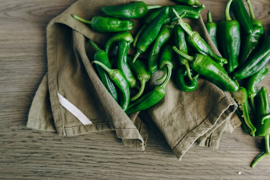 A pile of fresh, green jalapeno peppers