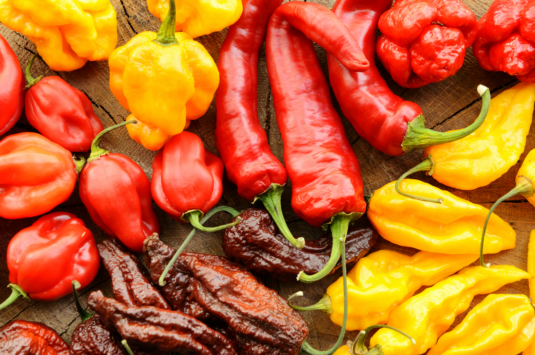 Sweet Heat: Exploring the Different Types of Peppers for Pepper Jelly