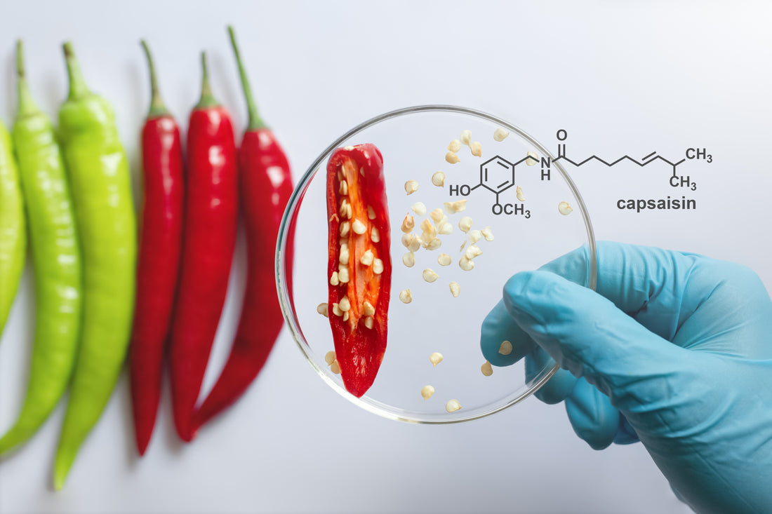 "The Science of Pepper Jelly: Understanding the Balance of Sweetness and Spice"