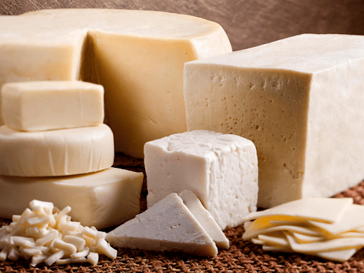Close-up of an assortment of hard and soft cheeses