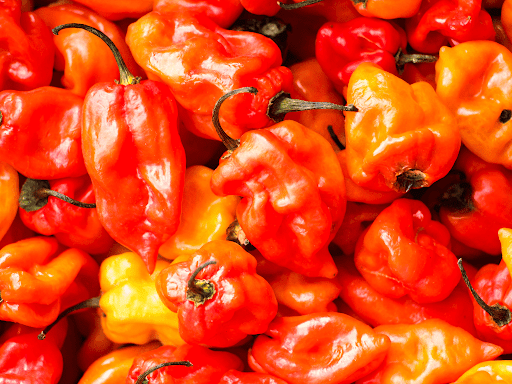 How to Build Your Tolerance for Spicy Food
